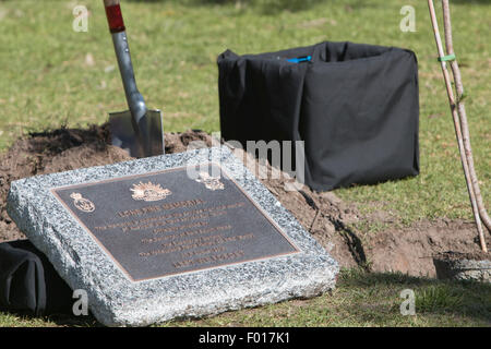 Centenaire de la bataille de Lone Pine entre les forces australiennes et ottoman pendant la Première Guerre mondiale, est célébré en Public School, à Sydney, en Australie. Le gouverneur de Nouvelle-Galles du Sud, le général David Hurley a planté le Lone Pine et dévoilé une plaque de cérémonie. Banque D'Images