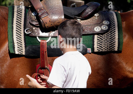 Garçon Plaque et fixation selle cheval alezan sur la préparation de trajet Banque D'Images