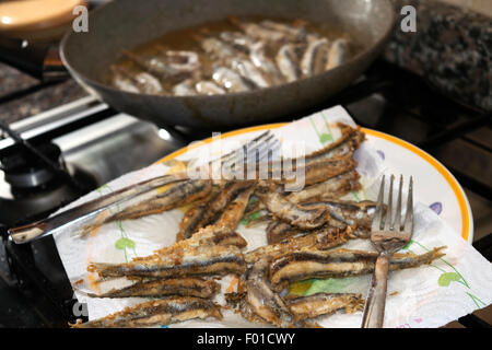 Filet d'anchois au cours de la RFY dans une casserole Banque D'Images