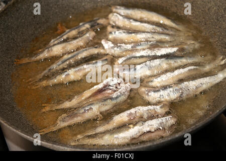 Filet d'anchois au cours de la RFY dans une casserole Banque D'Images