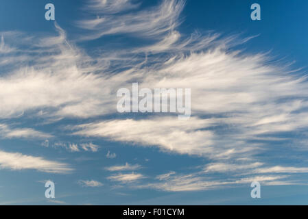 Brins de filandreux minces nuages cirrus Uncinus Banque D'Images