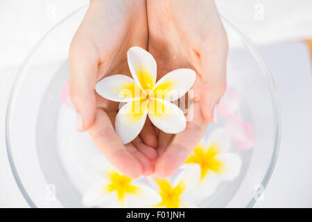 Pétales de fleur en bol en bois Banque D'Images