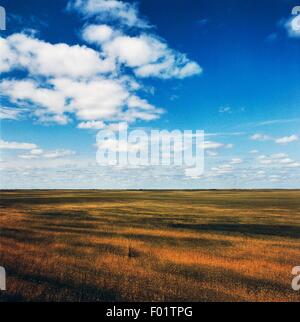 Prairie près de Moose Jaw, Saskatchewan, Canada. Banque D'Images