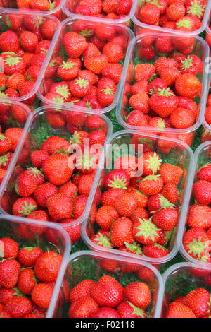 Barquettes de fraises en vente sur un marché plein air, England UK Banque D'Images