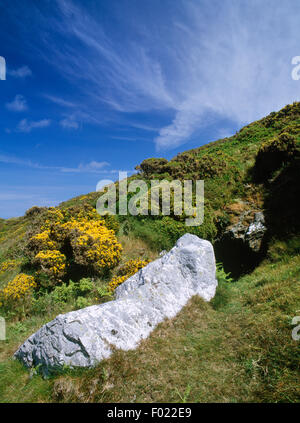 Entrée de caverne sur la pente W de Mynydd Enlli, Bardsey Island, utilisé par et nommé d'après Elgar, le C11e et 12e anglais ermite. Banque D'Images