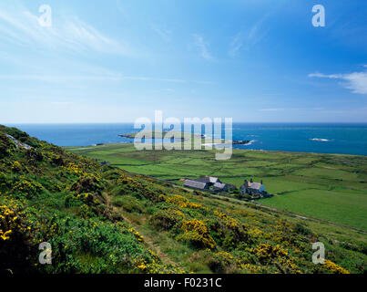 À la recherche d'Elgar SW de Mynydd Enlli, Grotte sur l'île de Bardsey, plus ferme, Plas Bach à bestiaux et les dépendances au phare et South End. Banque D'Images