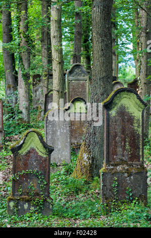 Cimetière juif, bihlerdorf, beilstein, Rhénanie-Palatinat, Allemagne Banque D'Images