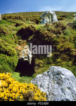 Entrée de caverne sur la pente W de Mynydd Enlli, Bardsey Island, utilisé par et nommé d'après Elgar, le C11e et 12e anglais ermite. Banque D'Images