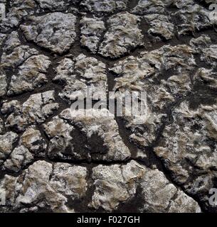 Les dépôts de sel, le lac Abbe, dry lake, la Grande Vallée du Rift, à Djibouti. Banque D'Images