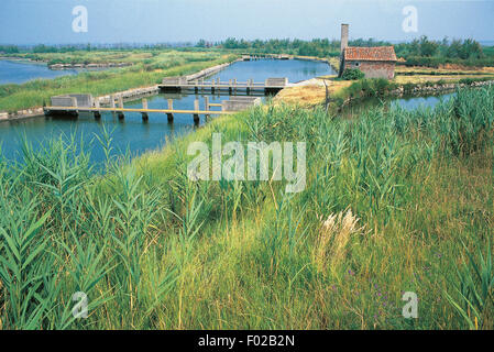 Paysage près du Po de Maistra (ou Maestra), Parc Régional du Delta du Pô (Liste du patrimoine mondial de l'UNESCO, 1999), Vénétie, Italie. Banque D'Images