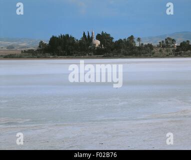 Chypre - Larnaca. Lac salé et la mosquée Hala Sultan Tekke Banque D'Images