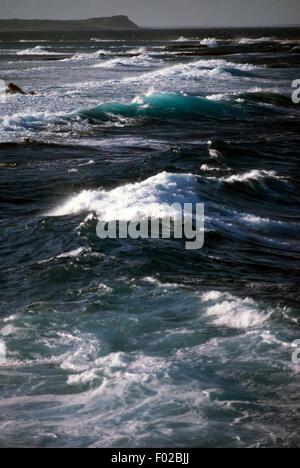 Vagues se brisant sur la côte rocheuse à la Pointe des Châteaux, la Guadeloupe (territoire français d'outre-mer). Banque D'Images