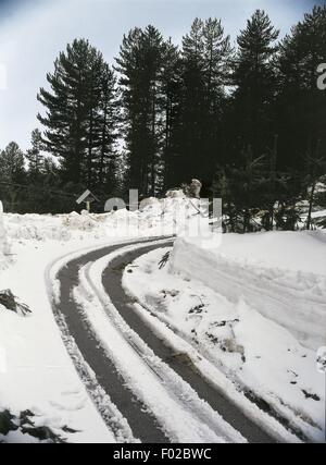 La neige a couvert route qui traverse une forêt, Sila Grande, le Parc National de Sila, Région Piémont, Italie Banque D'Images