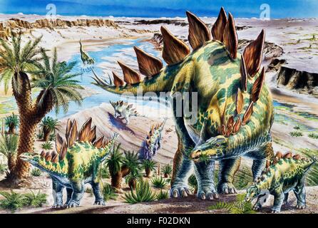 Le Stegosaurus sp, Stegosauridae, fin jurassique. Artwork par Robin Bouttell. Banque D'Images
