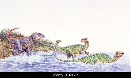 Paléozoologie - Crétacé - Dinosaures - Tarbosaurus attaquer un troupeau d'Amiee - travail d'Art