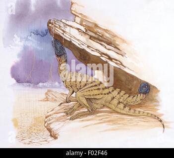 Paléozoologie - Jurassique - Dinosaures - Pachyrhinosa - Art par Graham Rosewarne Banque D'Images