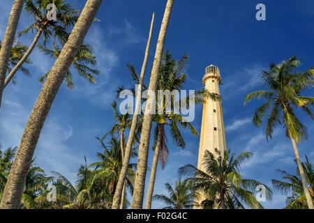 Low angle view of lighthouse et palmiers Banque D'Images