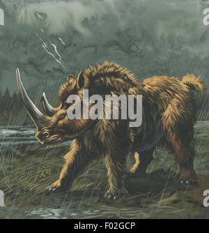 Rhinocéros laineux (Coelodonta antiquitatis) dans la pluie, illustration Banque D'Images