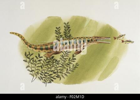 Paléozoologie - Permien - Reptiles - Mesosaurus (art par Nick Pike) Banque D'Images