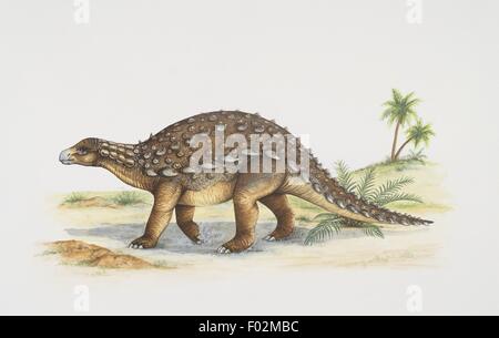 Paléozoologie - Jurassique - Dinosaures - Dracopelta (art par Edwina Goldstone) Banque D'Images