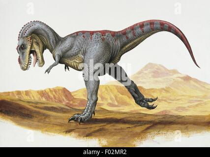 Paléozoologie - Crétacé - Dinosaures - Tarbosaurus (art par Una Fricker)