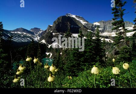 Le lac Glacier Grinnell, beaucoup de la région, le parc national des Glaciers (Liste du patrimoine mondial de l'UNESCO, 1995), Montana, États-Unis d'Amérique. Banque D'Images