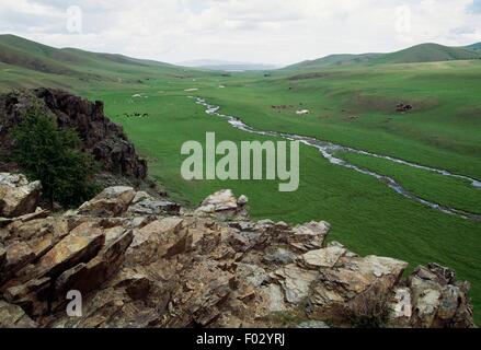 Taïga, région, la Mongolie Khujirt. Banque D'Images