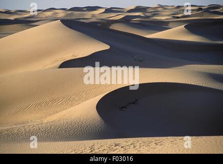 Dunes entre Touggourt et El Oued, désert du Sahara, l'Algérie. Banque D'Images