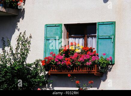 Ornée de géraniums fenêtre et les bégonias. Banque D'Images