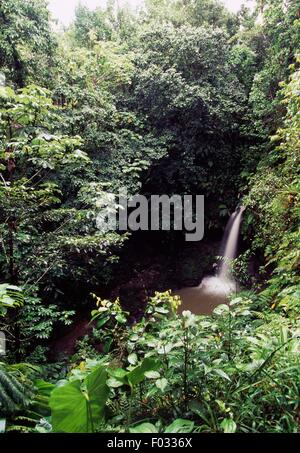 La piscine d'Emeraude, alimenté par les chutes de Middleham, Parc national du Morne Trois Pitons (Liste du patrimoine mondial de l'UNESCO, 1997), Dominique. Banque D'Images