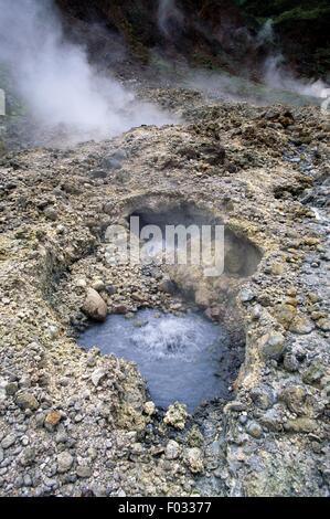 Les fumerolles dans la vallée de la Désolation zone volcanique, la Dominique. Banque D'Images