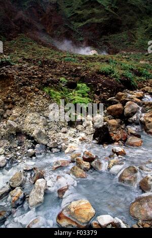 Les fumerolles dans la vallée de la Désolation zone volcanique, la Dominique. Banque D'Images