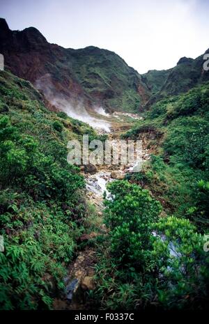Les fumerolles dans la vallée de la Désolation zone volcanique, la Dominique. Banque D'Images