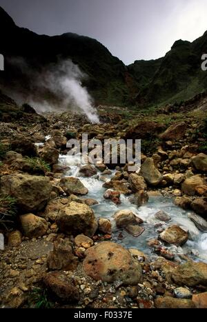 Les fumerolles dans la vallée de la Désolation zone volcanique, la Dominique. Banque D'Images