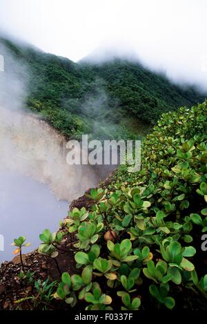 Le Boiling Lake, lac qui est est une fumerolle volcanique inondées, Parc national du Morne Trois Pitons (Liste du patrimoine mondial de l'UNESCO, 1997), Dominique. Banque D'Images