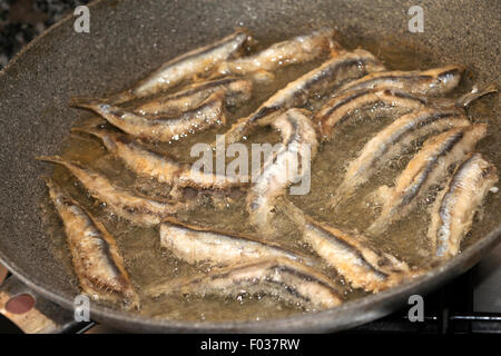 Filet d'anchois au cours de la RFY dans une casserole Banque D'Images