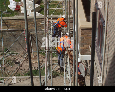 Scaffolders dans le processus de démantèlement de l'une des araignées de web sur l'acier un bâtiment après travaux de rénovation ont été achevés Banque D'Images