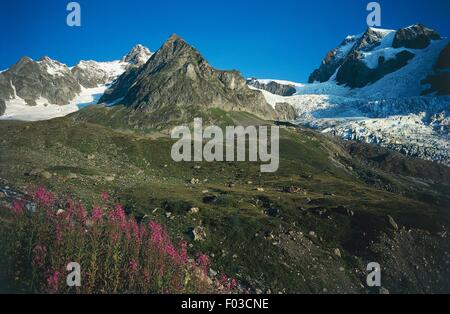 Aiguille de tre la tete, massif du Mont Blanc, de la vallée d'aoste, Italie. Banque D'Images