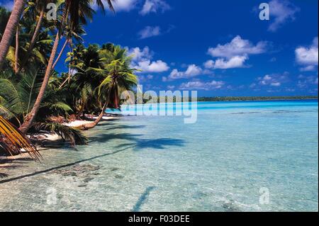 Lagon, atoll de Manihi, Tuamotu, Polynésie Française, territoire d'outre-mer de la France. Banque D'Images