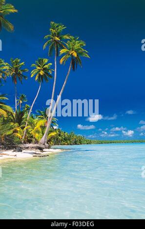 Lagon, atoll de Manihi, Tuamotu, Polynésie Française, territoire d'outre-mer de la France. Banque D'Images