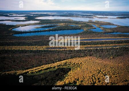 Vue aérienne du delta du fleuve Mackenzie, Yukon, Canada. Banque D'Images