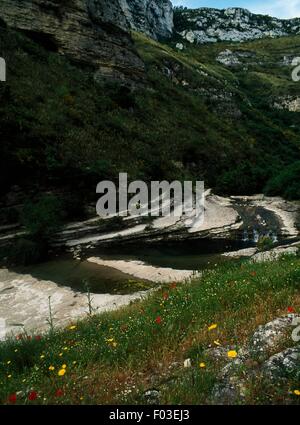 Central Lake, réserve naturelle de Cavagrande del Cassibile, Sicile, Italie. Banque D'Images