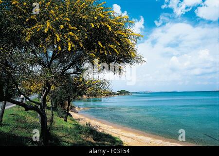 Italie - Sardaigne - Golfe d'Arzachena - Plage dans les environs de Cannigione (Province de Sassari). Banque D'Images