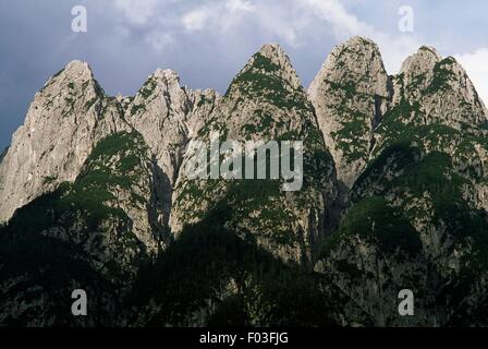 Cinque Punte (cinq pics), Rio del Lago vallée, forêt de Tarvisio, Frioul-Vénétie Julienne, Italie. Banque D'Images