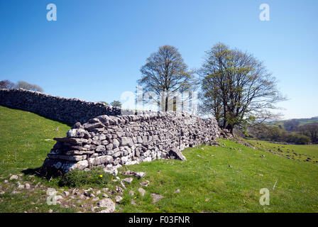 Mur en pierre sèche en ruine sur summers day dans Yorkshire Dales campagne Banque D'Images