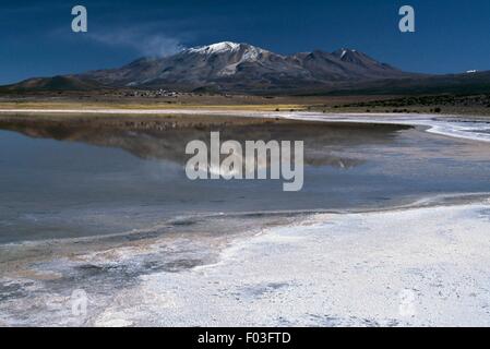 Lac salé et Volcan Isluga, Parc National Volcan Isluga, Tarapaca, Chili. Banque D'Images