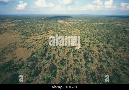 Vue aérienne de Savannah pendant la saison sèche - Parc national du Zambèze inférieur, en Zambie Banque D'Images