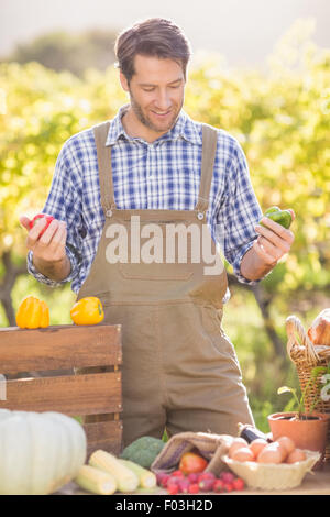 Cheerful farmer holding poivrons rouges et verts Banque D'Images