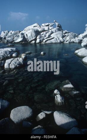 Francia, Corse, Réserve Naturelle des Bouches de Bonifacio, l'île de Lipari, grec cove Banque D'Images