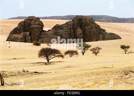 Massif de l'Ennedi au Tchad - Environs de Guelta d'Archei. Banque D'Images